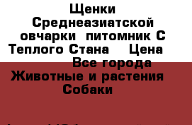 Щенки Среднеазиатской овчарки (питомник С Теплого Стана) › Цена ­ 20 000 - Все города Животные и растения » Собаки   